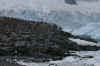 mon18.JPG (394663 bytes)