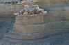 pp12.JPG (403422 bytes)
