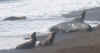 pv16.JPG (298896 bytes)