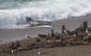pv53.JPG (313866 bytes)