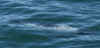 pu5.JPG (209026 bytes)