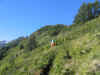 IMG_5500.JPG (352230 bytes)