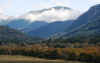 IMG_9037.JPG (277911 bytes)