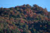 IMG_9308.JPG (472610 bytes)
