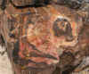 PF24.JPG (361067 bytes)