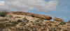 PF7.JPG (364049 bytes)