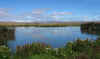 ducks1.JPG (243012 bytes)