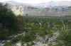 sa5.JPG (573655 bytes)