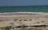 w54.JPG (451893 bytes)