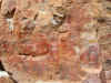CLM28.JPG (563871 bytes)