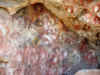 CLM9.JPG (443994 bytes)
