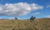 et14.JPG (317659 bytes)