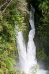 Cascadas.JPG (370269 bytes)