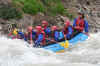 Rafting7.jpg (268756 bytes)
