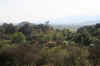 LosLingues8.JPG (271368 bytes)