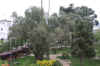 SantaCruzPlaza2.JPG (333135 bytes)