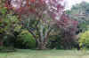 Parque1.JPG (485756 bytes)