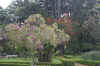 Parque5.JPG (437903 bytes)