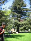 UC Campus1.JPG (561413 bytes)