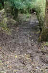 LakeHike1.JPG (499087 bytes)