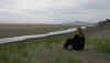 Beach5.JPG (108203 bytes)