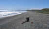ChiloeBeach1.JPG (221710 bytes)