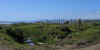 ChiloeBeach3.JPG (158128 bytes)
