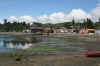 Chonchi4.JPG (286181 bytes)