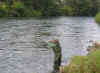 Fishing13.JPG (427826 bytes)