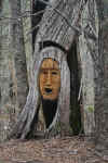MapucheFace.JPG (294289 bytes)