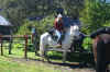 AventuraHorseRide1.JPG (426028 bytes)