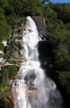 ForestCascada1.JPG (240024 bytes)