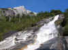 ForestCascada2.JPG (238494 bytes)
