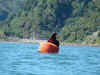 Kayak4.JPG (328267 bytes)