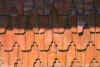 tiles3.JPG (146691 bytes)