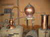 PiscoMistralMuseo1.JPG (124720 bytes)