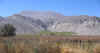 CPV1.JPG (156277 bytes)
