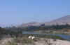 RioHuasco1.JPG (137837 bytes)