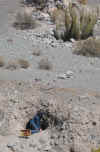 LynnGoldMiner.JPG (461953 bytes)