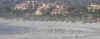 CrowdedBeach2.JPG (214693 bytes)