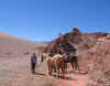 HorseRide5.JPG (149306 bytes)