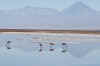 SalarDeAtacama2.JPG (141714 bytes)
