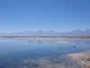 SalarDeAtacama5.JPG (88404 bytes)