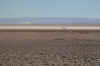 SalarDeAtacamaRoad.JPG (207957 bytes)