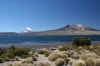 Chungara - Bolivian Mt.JPG (188072 bytes)