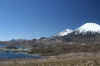 Lagunas Piranacota.JPG (185254 bytes)