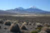 Parinacota - Pomerape.JPG (222690 bytes)
