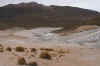Geysers1.JPG (228454 bytes)