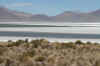 SalarSurire.JPG (189232 bytes)