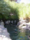 Termas 2.JPG (187822 bytes)